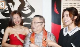 大师爆料陈自瑶视频播放,大师爆料背后的真相揭秘