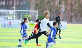 非法足球爆料视频大全,非法爆料视频大全深度解析