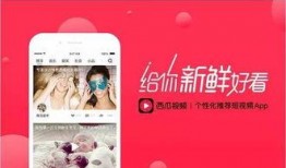 爆料短视频在线,揭秘网络舆论背后的秘密