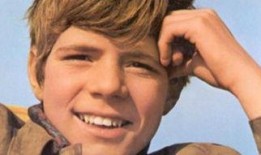 英俊少年在线观看,英俊少年在线观看，演绎青春热血传奇