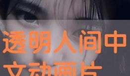 透明人间动画在线观看,窥探心灵深处的奇幻之旅