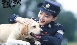 警花与警犬2在线观看,默契搭档再出击，热血侦破新篇章
