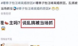 刘大锤爆料小结视频大全,视频大全精彩瞬间回顾