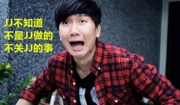 爆料王安宇林俊杰视频,神秘视频曝光引网友热议