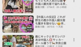 外网小鹿爆料视频大全集,揭秘网络热点背后的真相