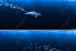 海洋之眼爆料视频最新