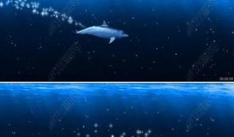 海洋之眼爆料视频最新