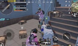 cs职业最新爆料