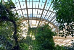 昆明植物园爆料视频最新,探秘神秘植物世界，揭秘珍稀物种之谜