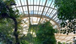 昆明植物园爆料视频最新,探秘神秘植物世界，揭秘珍稀物种之谜