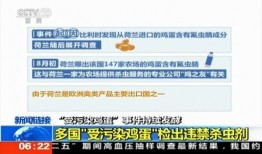 新闻爆料鸡蛋事件,揭秘背后真相与应对措施