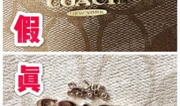 女士包包蔻驰最新爆料,时尚潮流引领潮流风向标