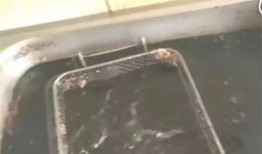 食品小哥爆料视频播放,揭秘后厨那些不为人知的秘密