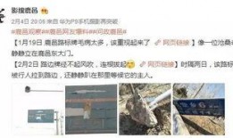 鹿邑最新爆料事件,揭秘事件背后惊人真相
