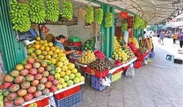 海南水果市场爆料视频播放,新鲜美味尽收眼底！
