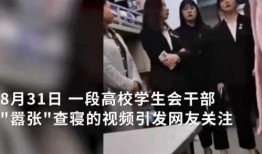 南澳爆料大叔事件视频,真相与争议的交织