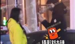 刘大锤爆料小结视频大全,视频大全精彩瞬间回顾