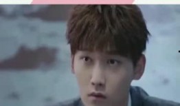 完美拍档在线观看完整