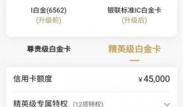 新卡爆料最新一期视频,带你领略卡牌游戏的无限魅力