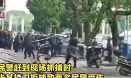 豫东小高爆料打架事件视频,校园打架事件视频引发热议