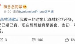 网红被爆料吃瓜微博,揭秘幕后真相与网络舆论的力量