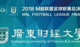 广东财经爆料新闻视频下载,揭秘新闻视频背后的真相与影响