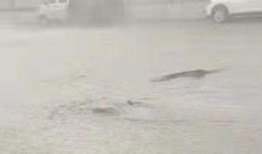 一场大雨爆料视频大全最新,最新爆料视频大全精彩呈现