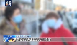 新闻爆料鸡蛋事件,揭秘背后真相与应对措施