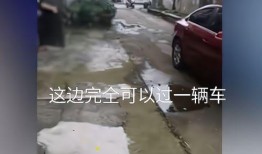 网友爆料乱停车事件视频,街头乱停车现象引发热议