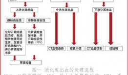 汽车定损爆料流程视频教程,视频教程精华概述