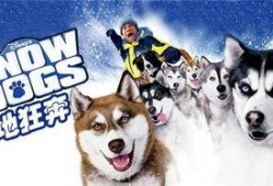 雪地狂奔 在线观看,在线观看的惊险刺激之旅