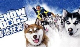 雪地狂奔 在线观看,在线观看的惊险刺激之旅