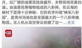 今日八卦微博爆料,某明星恋情曝光，细节惊人引热议！”