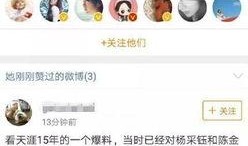 爆料娱乐圈微博,揭秘明星背后的故事