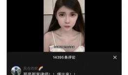 某网红视频被爆料怎么办,真相与舆论的较量