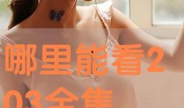 203在线观看,203年热门剧集在线观看指南