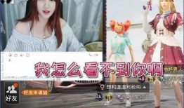 谁爆料了王小歪视频,神秘爆料者揭露惊人内幕