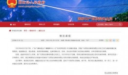 广东新闻网爆料,揭秘重大事件背后真相