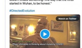 辉瑞高管 爆料最新消息,最新疫苗研发进展及市场策略大揭秘