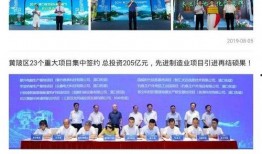 黄陂最新爆料新闻事件,揭秘XX事件背后真相