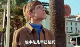 英俊少年在线观看,英俊少年在线观看，演绎青春热血传奇