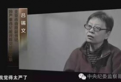 网友爆料湖北新闻视频,网友爆料惊人内幕，真相令人震惊！