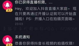 抖音怎么有视频爆料功能,视频爆料功能如何助力内容曝光