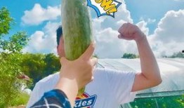 小网红吃瓜,揭秘娱乐圈幕后真相