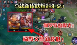 王者爆料皮肤展示视频大全,皮肤展示视频大全，视觉盛宴来袭！