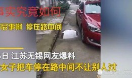 网友爆料乱停车事件视频,街头乱停车现象引发热议