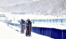 红色的雪在线观看,揭秘神秘雪域的红色传奇