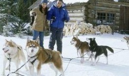 雪地狂奔 在线观看,在线观看的惊险刺激之旅