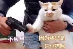 永劫表情包爆料视频