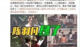 阿伟爆料消息视频大全,揭秘幕后真相，热点事件深度解析